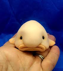 Image result for blobfish