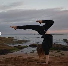 Image result for York University Gymnastics Club