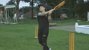 Image result for Drumpellier Cricket Club