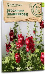 Image result for Stockrose