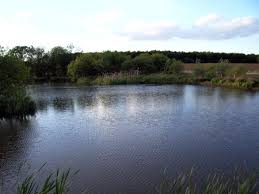 Image result for Plough Angling Society