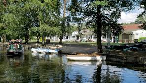 Image result for Basingstoke Sc