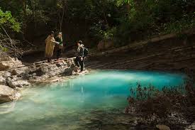 Výsledek obrázku pro yungas