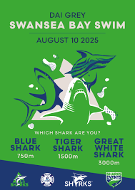 Image result for SwimSwansea