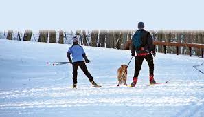 Image result for Lakeland Cross Country Ski Club