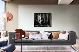 Image result for Ansel Adams Aspens New Mexico