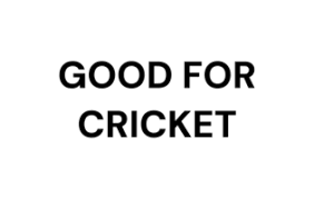 Image result for Wolviston Cricket Club
