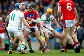 Image result for Shamrocks Hurling & Football Club