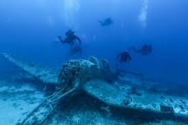 Image result for Duchy Divers