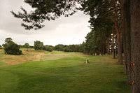 Image result for Carlow Golf Club