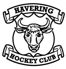 Image result for Havering Skater Hockey Club