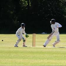 Image result for Alton Cricket Club