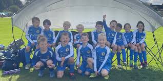 Image result for Hook Norton Junior Cricket Club