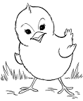 Chicken coloring page