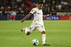 Image result for Little Common Community Sports Club