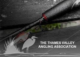 Image result for Thames Valley Angling
