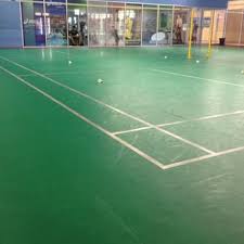 Image result for Pioneers Badminton Club
