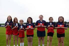 Image result for Carmarthen Wanderers Cricket Club