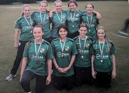 Image result for New Milton Cricket Club