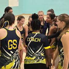 Image result for Falcons Netball Club