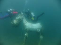 Image result for York University Sub Aqua Club