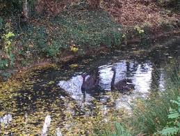 Image result for Worcester Rambling Club