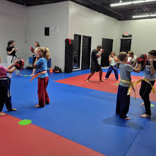 Image result for Freedom Martial Arts