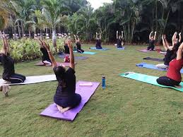 Image result for Kb Yoga