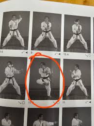 Image result for Jodan Karate