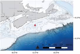 Image result for Vazella pourtalesii