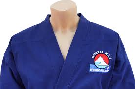 Image result for Yoseikan Budo England