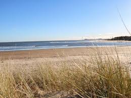 Image result for Wansbeck Gc