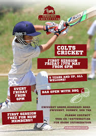 Image result for Ewhurst Stoolball Club