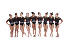 Image result for Elite Recreational Gymnastics Club