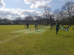 Image result for Capel Cricket Club
