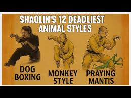 Image result for Silat Pd (Perisai Diri) UK