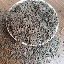 Attēlu rezultāti vaicājumam “Arctium lappa fruit”