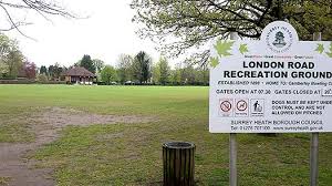 Image result for Surrey Heath Slammers