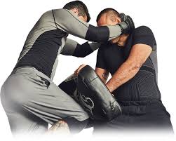 Image result for Somerset Jeet Kune Do