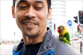 Afbeeldingsresultaat voor jort kelder maserati