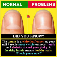 Image result for lunula nail