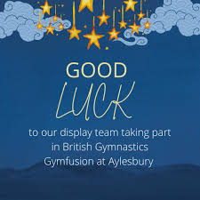 Image result for Blandford Forum Gymnastics & Kanga Club