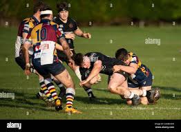 Image result for Oxford Harlequins R F C