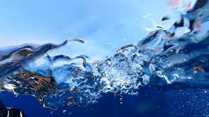 Image result for Splash Divers Sub Sub Aqua Club