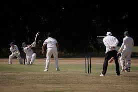 Image result for Henfield Cricket Club