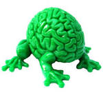 10 Good Reasons Not to Trust Your Brain - Forbes
