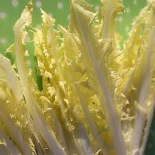 Image result for Zichorie