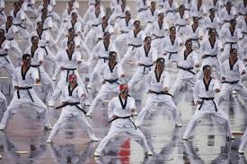 Image result for South Bank Taekwondo