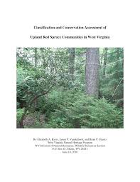 Attēlu rezultāti vaicājumam “Licea pusilla young”