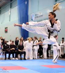Image result for Swansea Taekwondo Club